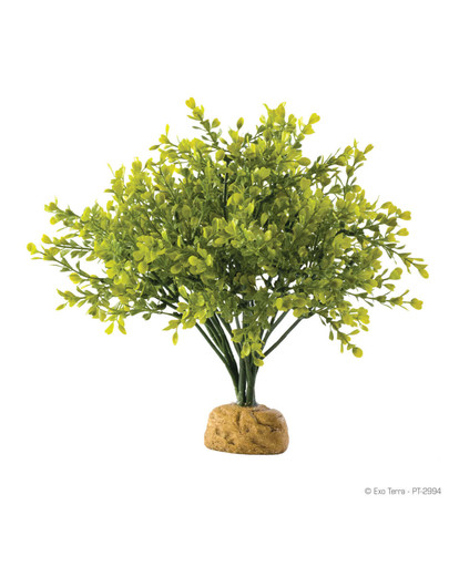 EXOTERRA Umělá rostlina – Boxwood Bush