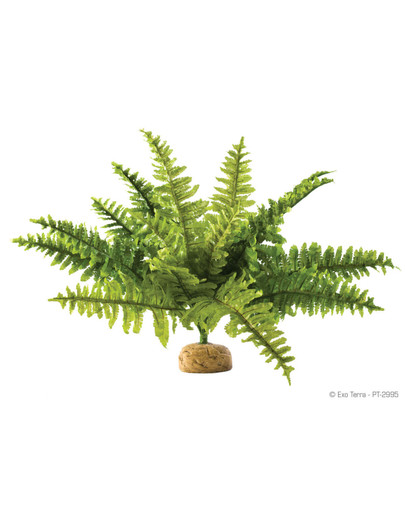 EXOTERRA Rostlina boston fern střední 29cm