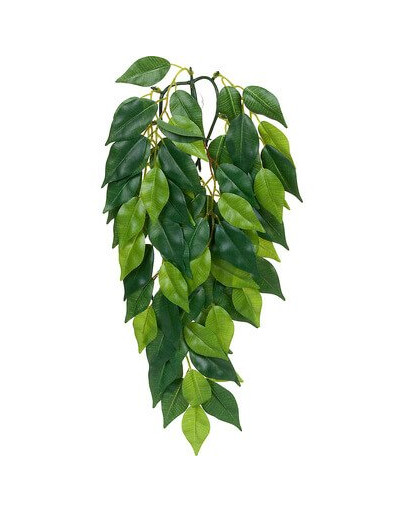 EXOTERRA Rostlina Ficus malá 45 cm