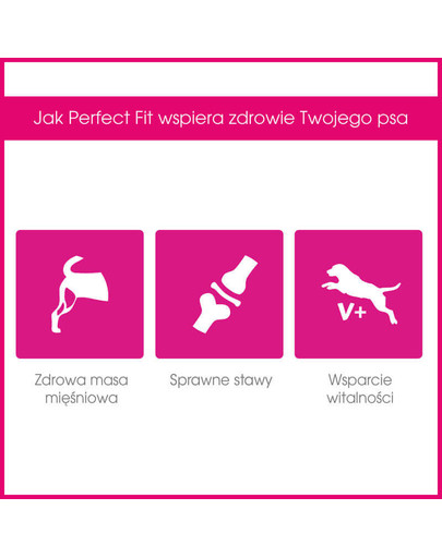 PERFECT FIT Adult (1+ lat) Bohatý na kuřecí maso pro psy středních a velkých ras 11+3,5 kg GRATIS