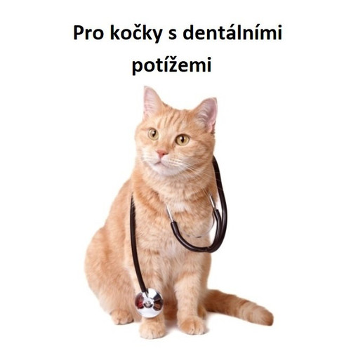 Pro kočky s dentálními potížemi