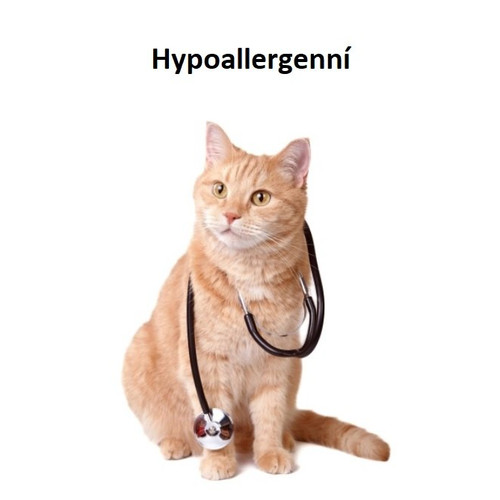 Hypoallergenní krmivo pro kočky