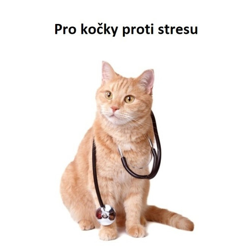 Pro kočky proti stresu