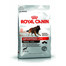 ROYAL CANIN sport& Trail 4300 15 kg