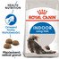 ROYAL CANIN Indoor Long Hair 10 kg granule pro kočky žijící uvnitř a zdravou srst