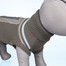 TRIXIE Pletený svetr "Best of all Breeds", XS: 30 cm