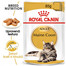 ROYAL CANIN Maine Coon Loaf 85g kapsička s paštikou pro mainské mývalí kočky