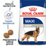 ROYAL CANIN Maxi adult 10kg granule pro dospělé velké psy