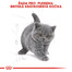 ROYAL CANIN British Shorthair Kitten 2kg granule pro britská krátkosrstá koťata