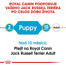 ROYAL CANIN Jack Russell Puppy 1.5 kg granule pro štěně jack russell teriéra