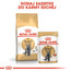 ROYAL CANIN British Shorthair Gravy  85g kapsička pro britské krátkosrsté kočky ve šťávě