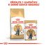 ROYAL CANIN British Shorthair Gravy 6x 85g kapsička pro britské krátkosrsté kočky ve šťávě