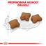 ROYAL CANIN Kitten Sterilised  4kg granule pro kastrovaná koťata