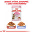 ROYAL CANIN Kitten Sterilised  4kg granule pro kastrovaná koťata
