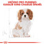 ROYAL CANIN Cavalier King Charles Puppy 1,5 kg granule pro štěně kavalír king charles španěl