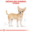 ROYAL CANIN Chihuahua Loaf 85g x6 kapsička s paštikou pro čivavu