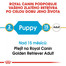 ROYAL CANIN Golden Retriever Puppy 3 kg  granule pro štěně zlatého retrívra
