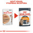 ROYAL CANIN Intense Beauty Gravy 85g kapsička pro kočky ve šťávě
