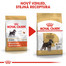 ROYAL CANIN Schnauzer Adult  500g granule pro dospělého knírače