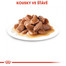 ROYAL CANIN Sterilised Gravy 85g kapsička v pro kastrované kočky ve šťávě