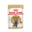 ROYAL CANIN British Shorthair Gravy 6x 85g kapsička pro britské krátkosrsté kočky ve šťávě