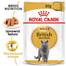 ROYAL CANIN British Shorthair Gravy 6x 85g kapsička pro britské krátkosrsté kočky ve šťávě
