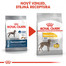 ROYAL CANIN Maxi Dermacomfort 12 kg granule pro velké psy s problémy s kůží