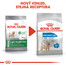 ROYAL CANIN Mini light weight care 800g dietní granule pro psy