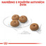 ROYAL CANIN Mini Sterilised 2 kg granule pro kastrované malé psy
