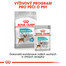 ROYAL CANIN Mini urinary care 3 kg granule pro psy s ledvinovými problémy