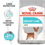 ROYAL CANIN Mini urinary care 3 kg granule pro psy s ledvinovými problémy