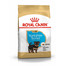 ROYAL CANIN Yorkshire Puppy 500g granule pro štěně jorkšíra