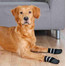 TRIXIE Protiskluzové ponožky černé M-L, 2 ks pro psy bavlna/lycra