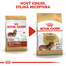 ROYAL CANIN Dachshund Adult 1.5 kg granule pro dospělého jezevčíka