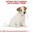 ROYAL CANIN Jack Russell Puppy 3 kg granule pro štěně jack russell teriéra
