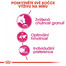 ROYAL CANIN Exigent savour sensation 10 kg+2 kg ZDARMA granule pro mlsné kočky