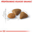 ROYAL CANIN Exigent savour sensation 10 kg+2 kg ZDARMA granule pro mlsné kočky