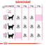 ROYAL CANIN Exigent savour sensation 10 kg+2 kg ZDARMA granule pro mlsné kočky
