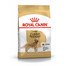 ROYAL CANIN Golden Retriever Adult 12 kg granule pro dospělého zlatého retrívra