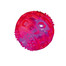 TRIXIE Gumový míček 5,5 cm