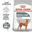 ROYAL CANIN Medium dental care 1 kg Omezení tvorby zubního kamene