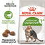 ROYAL CANIN Outdoor 7+ 10 kg granule pro stárnoucí kočky s častým pohybem venku