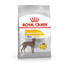ROYAL CANIN Maxi Dermacomfort 10 kg granule pro velké psy s problémy s kůží