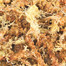 TRIXIE Podestýlka rašeliníkový mech (sphagnum) 100 g