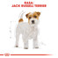 ROYAL CANIN Jack Russell Adult 3 kg granule pro dospělého jack russell teriéra