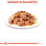 ROYAL CANIN Instinctive Jelly 12x85g kapsičky pro kočku v želé