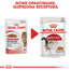 ROYAL CANIN Instinctive Jelly 12x85g kapsičky pro kočku v želé