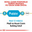 ROYAL CANIN Bulldog Puppy 3 kg granule pro štěně buldoka