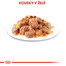 ROYAL CANIN Instinctive Jelly 85 g kapsička pro kočky v želé