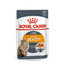 ROYAL CANIN Intense Beauty Jelly 85g kapsička pro kočky v želé